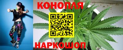 сатива Краснокаменск