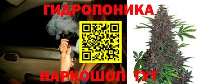 a pvp Краснознаменск
