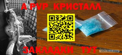a pvp Краснознаменск